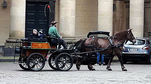 Passeggiate in carrozza